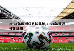 2024年欧洲杯足球集锦,2024年欧洲杯足球场