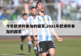 今年欧洲杯参加的国家,2021年欧洲杯参加的国家