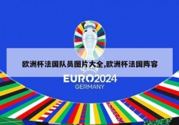 欧洲杯法国队员图片大全,欧洲杯法国阵容