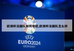 欧洲杯法国队如何夺冠,欧洲杯法国队怎么样