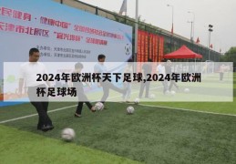 2024年欧洲杯天下足球,2024年欧洲杯足球场