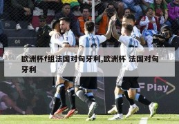 欧洲杯f组法国对匈牙利,欧洲杯 法国对匈牙利