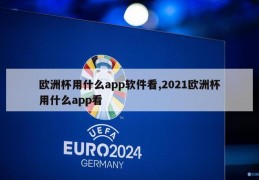 欧洲杯用什么app软件看,2021欧洲杯用什么app看