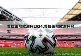 普拉蒂尼欧洲杯2024,普拉蒂尼欧洲杯冠军