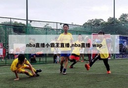 nba直播小霸王直播,nba直播 wap