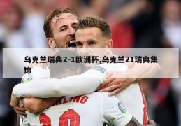 乌克兰瑞典2-1欧洲杯,乌克兰21瑞典集锦