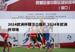 2024欧洲杯赌注口图片,2024年欧洲杯球场