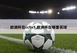 欧洲杯在cctv5,欧洲杯在哪里买球