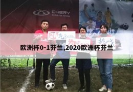 欧洲杯0-1芬兰,2020欧洲杯芬兰