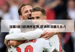 法国3比3欧洲杯比例,欧洲杯法国几比几