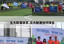 五大联赛派系,五大联赛如何排名