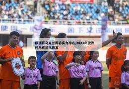 欧洲杯乌克兰阵容实力排名,2021年欧洲杯乌克兰队阵容