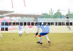 法国欧洲杯格里兹曼进球,欧洲杯法国队格里兹曼