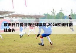 欧洲杯门将倒钩进球集锦,2020欧洲杯倒挂金钩