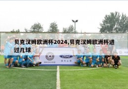 贝克汉姆欧洲杯2024,贝克汉姆欧洲杯进过几球