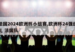 法国2024欧洲杯小组赛,欧洲杯24强巡礼 法国队