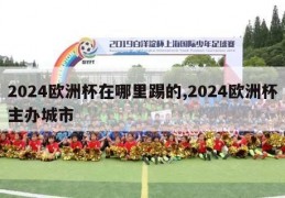 2024欧洲杯在哪里踢的,2024欧洲杯主办城市