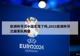 欧洲杯芬兰小组出现了吗,2021欧洲杯芬兰国家队阵容