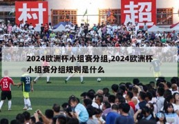 2024欧洲杯小组赛分组,2024欧洲杯小组赛分组规则是什么