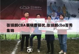 张镇麟CBA赛场遭骚扰,张镇麟cba首秀集锦