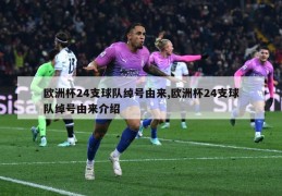 欧洲杯24支球队绰号由来,欧洲杯24支球队绰号由来介绍