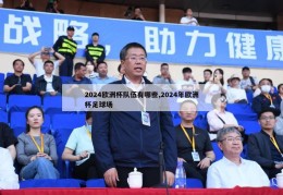 2024欧洲杯队伍有哪些,2024年欧洲杯足球场